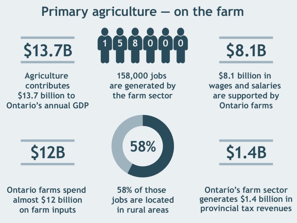 Ontario Agriculture On the Farm