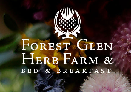 Food Day Canada video – Forest Glen Herb Farm 2013