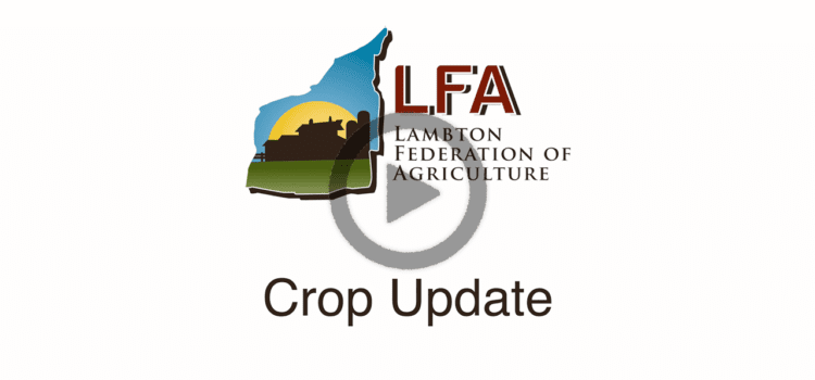 COVID-19 Lambton County Crop Update Video